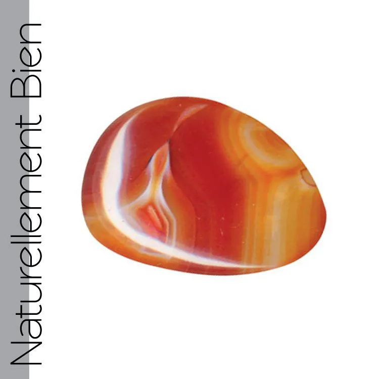 Pierre Roul&eacute;e Cornaline