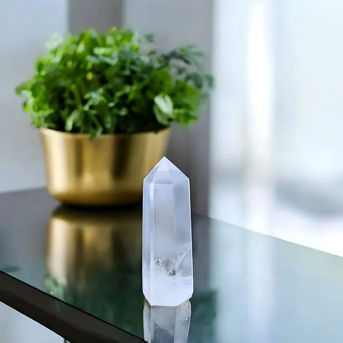 Pointe Cristal de Roche 5 à 14 g