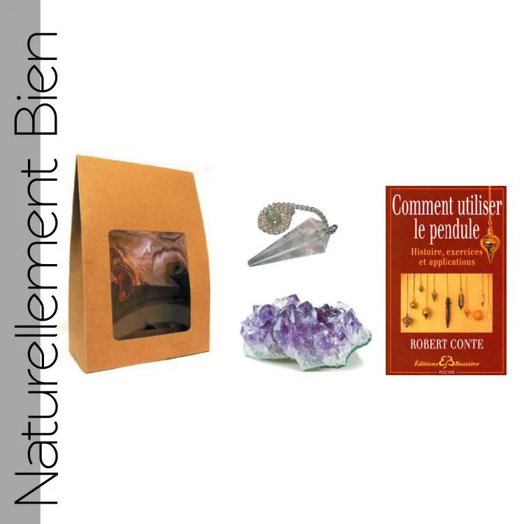 Kit Amateur Pendule