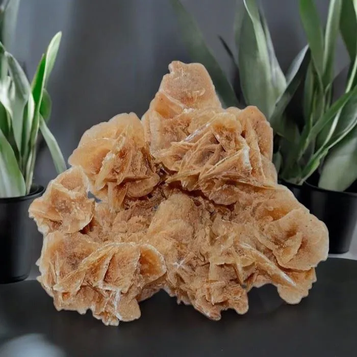 Rose des Sables Pierre Brute 500 g à 800 g