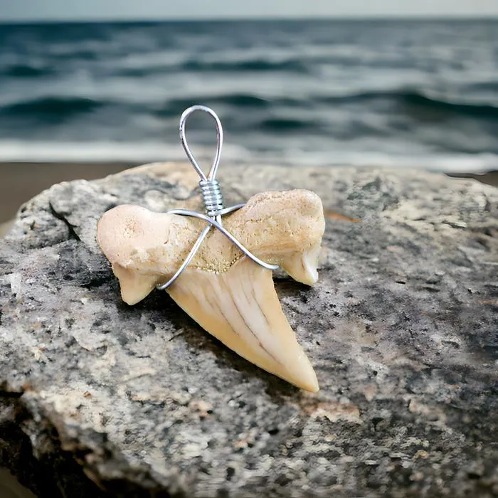 Pendentif Dents de Requin