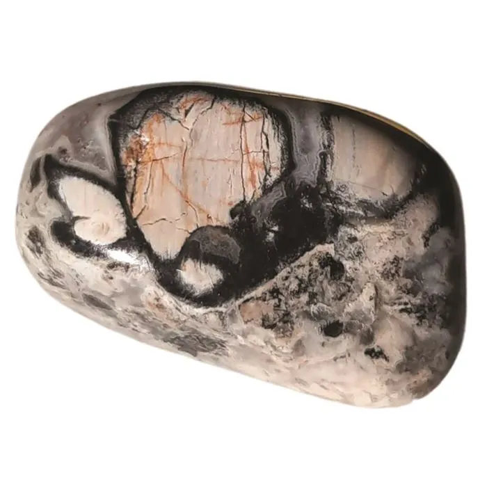 Pierre Roulée Jaspe Feuille Argent 2 à 3 cm