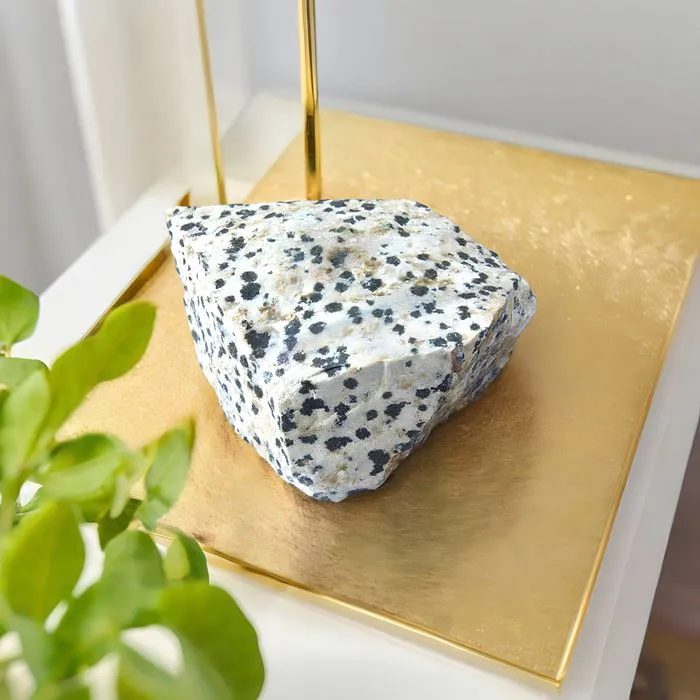 Pierre Brute Jaspe Dalmatien - 4 à 6 cm