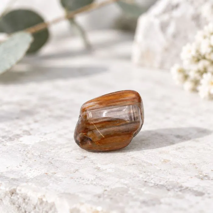 Pierre Roul&eacute;e Bois Fossilis&eacute; 2 &agrave; 3 cm