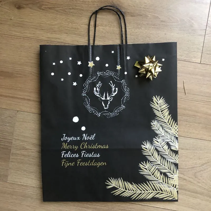 Sachet Cadeau - Grand modèle 35  x 14  x 41 cm