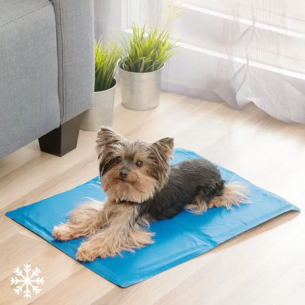 Tapis Rafraîchissant pour Animaux - petit modèle