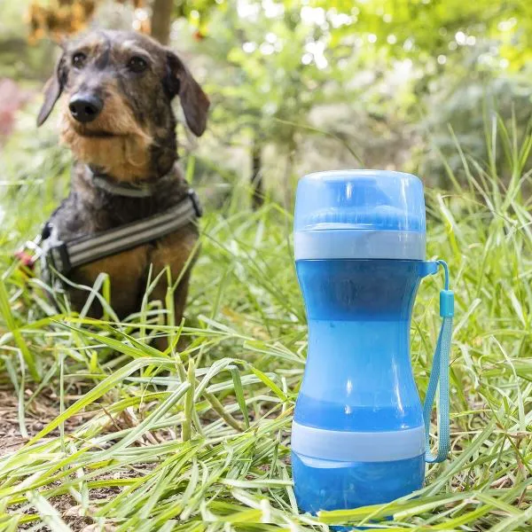 Bouteille Distributrice Eau & Aliments Animaux