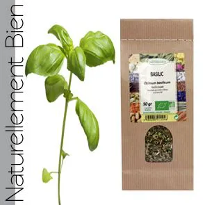 BASILIC BIO SK50