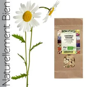 CAMOMILLE ROMAINE BIO SK30