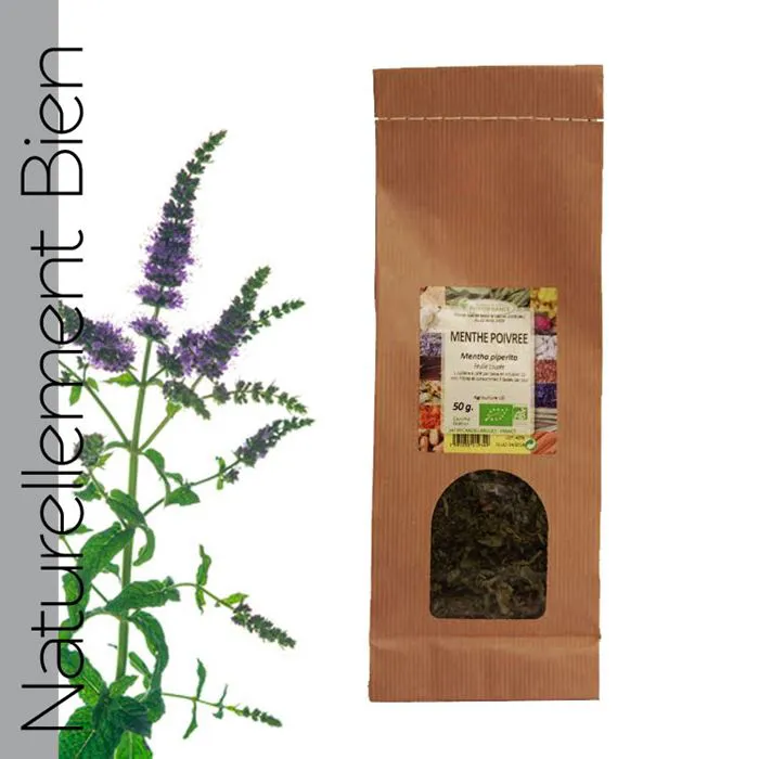 MENTHE POIVRÉE BIO SK50