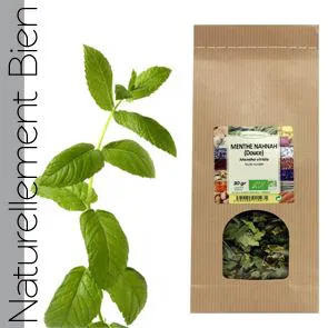MENTHE VERTE BIO SK30