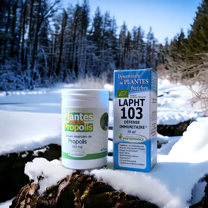 Cure d'Hiver "Défenses Naturelles"