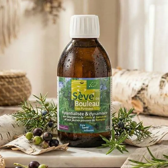 Sève de Bouleau BIO - Cure 15 jours