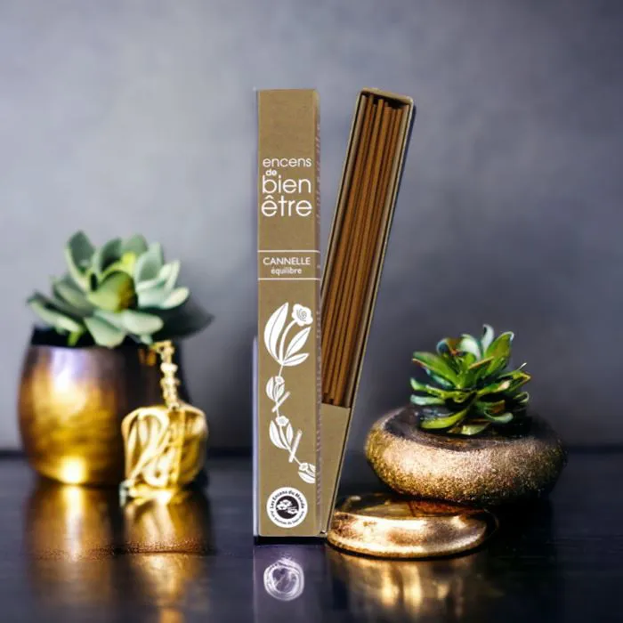 Encens Aromambiance Cannelle