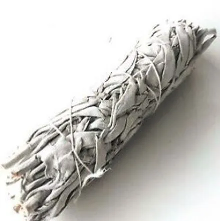 Sauge Blanche - Bâton ≈ 18 cm