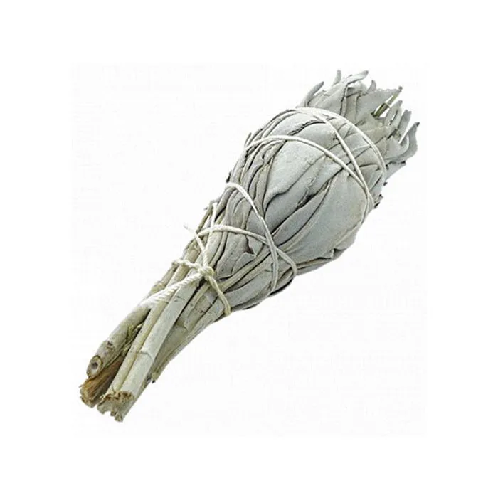 Sauge Blanche - Bouquet ≈ 12 cm