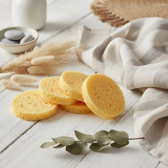 Lot de 5 Eponges en Fibre de Bois