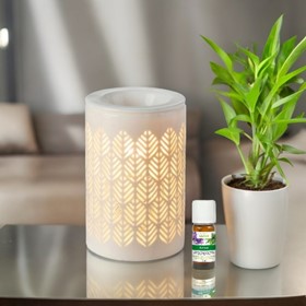 Lampe Aromatique + 1 huile offerte 3