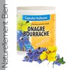 Onagre - Bourrache 1