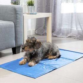Tapis Rafraîchissant pour Animaux - grand modèle 2