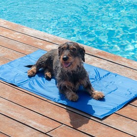 Tapis Rafraîchissant pour Animaux - grand modèle 1