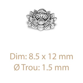 Sachet de 2 Séparateurs Lotus  2