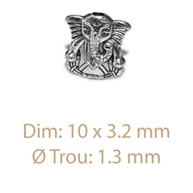 Sachet de 2 Séparateurs Ganesh 2