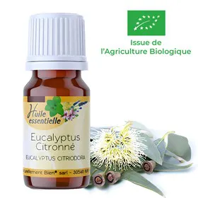 Huile Essentielle Eucalyptus Citronné Bio 2